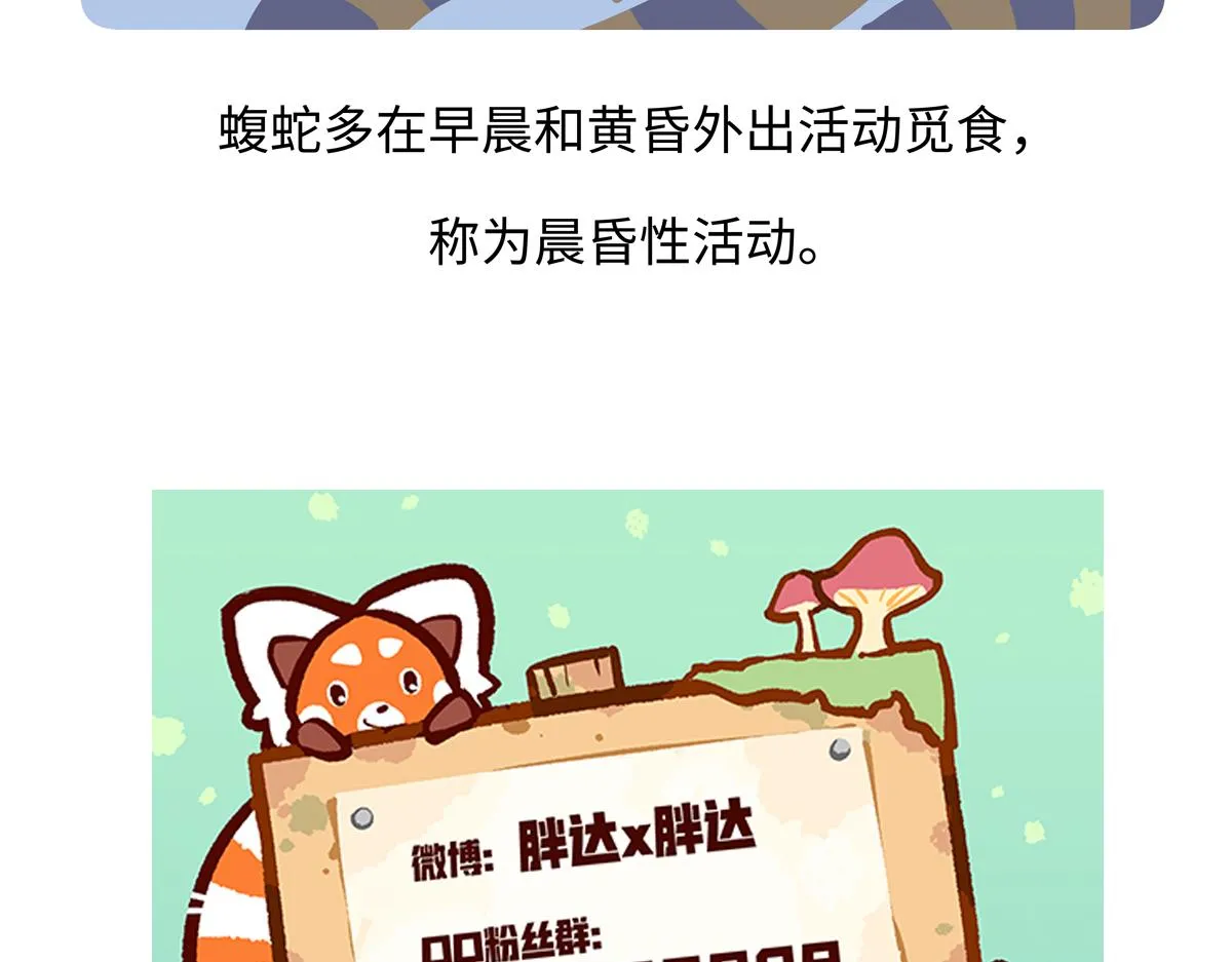 第251话 第31页