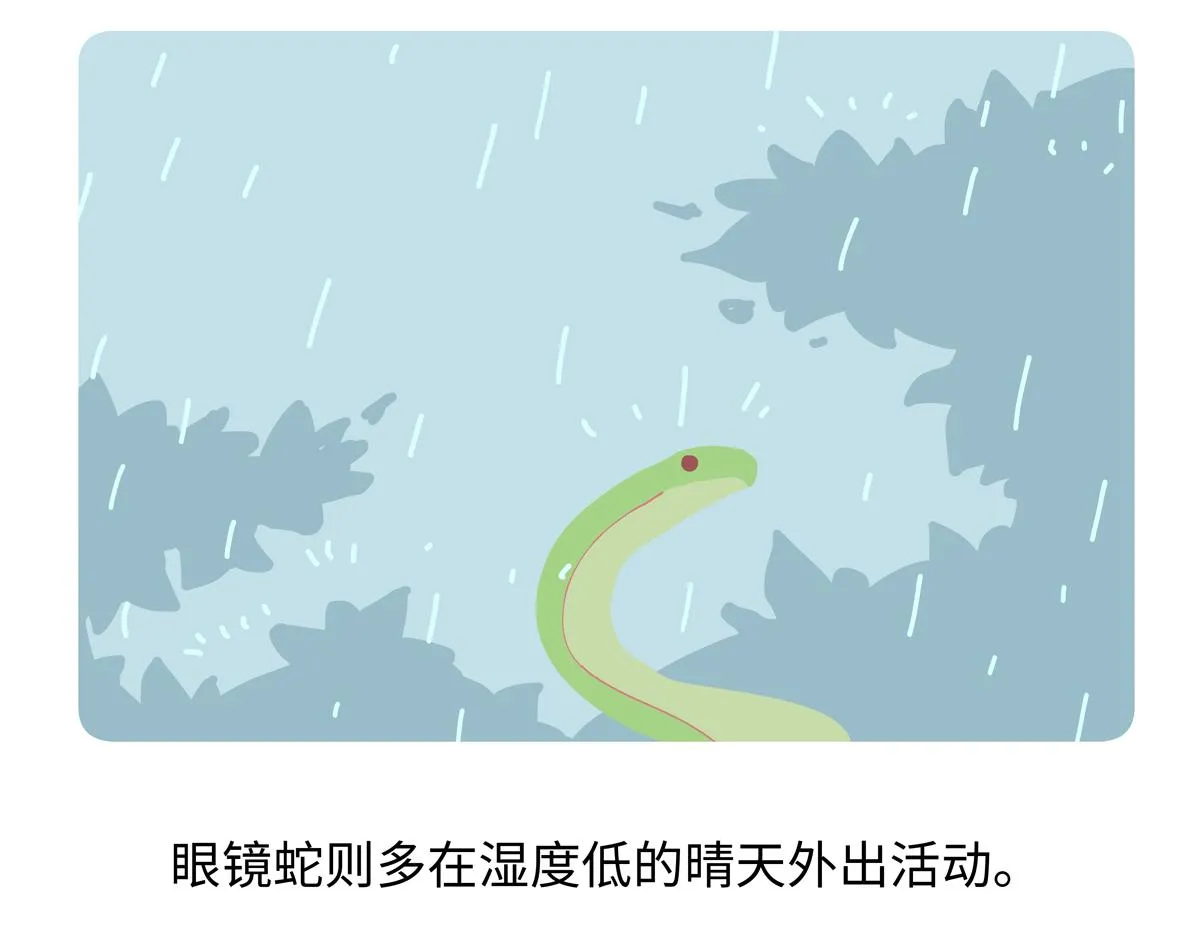 第252话 第23页