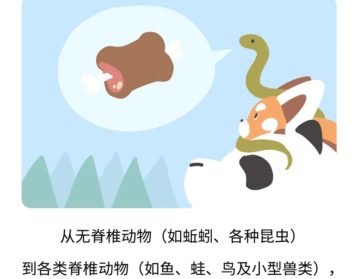 第253话 第21页