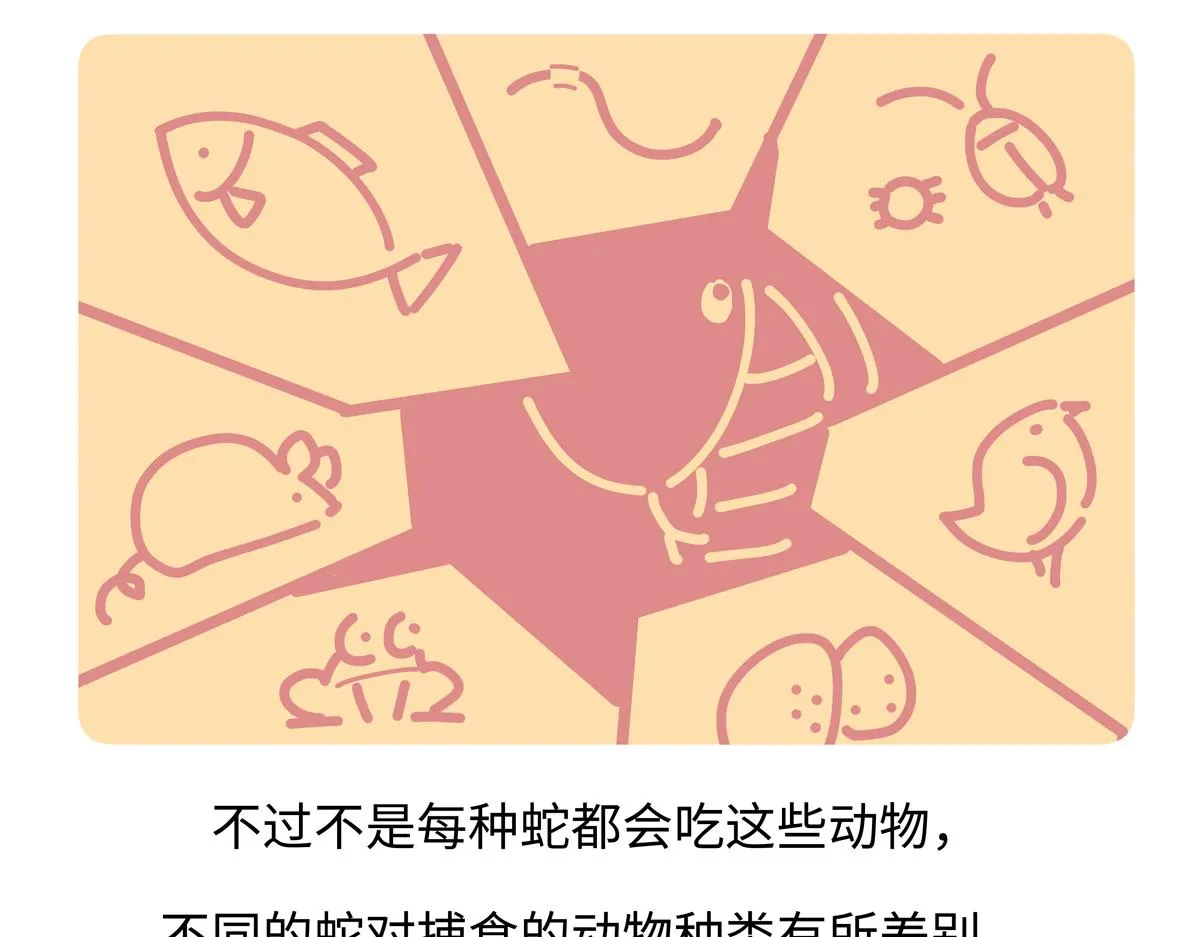 第253话 第23页