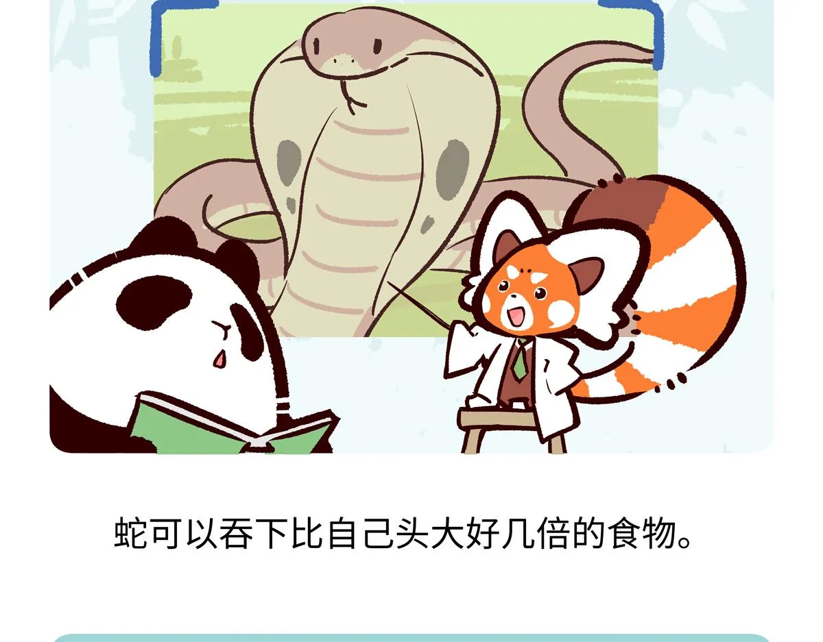 第253话 第26页