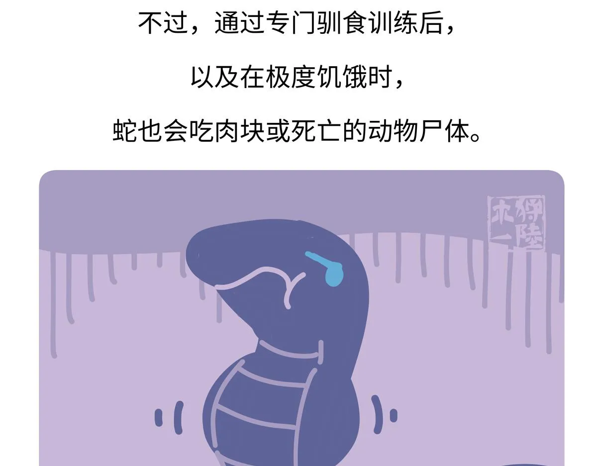 第253话 第29页