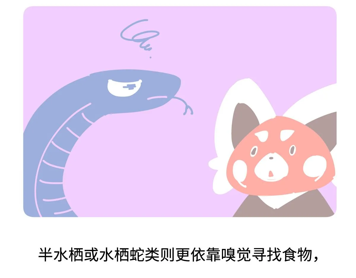 第254话 第22页