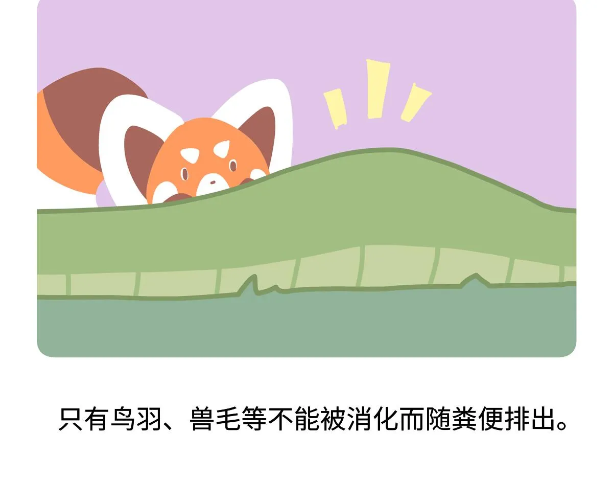 第254话 第27页