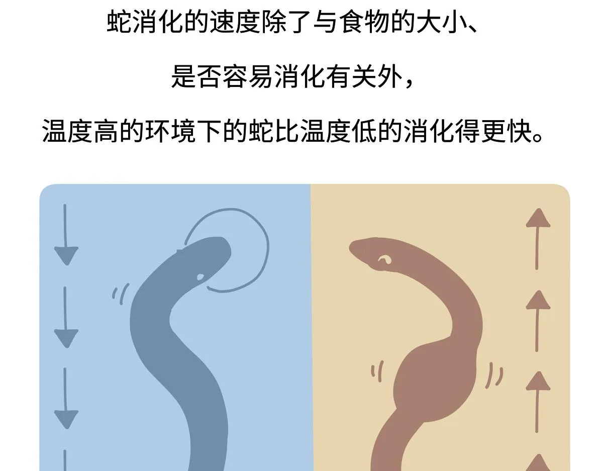 第254话 第29页