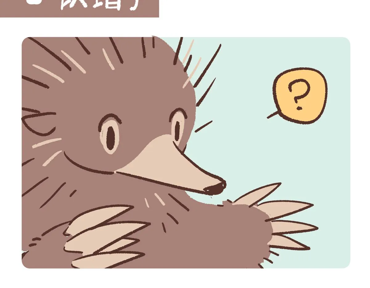 第255话 第8页