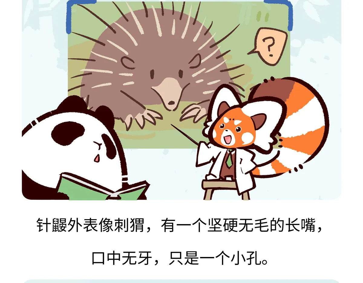 第255话 第19页