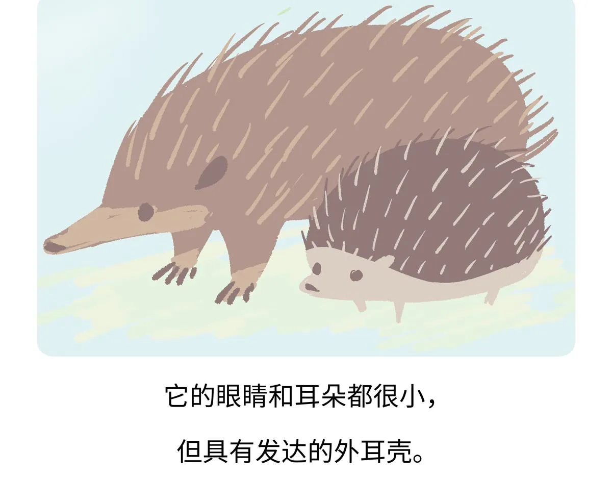 第255话 第20页