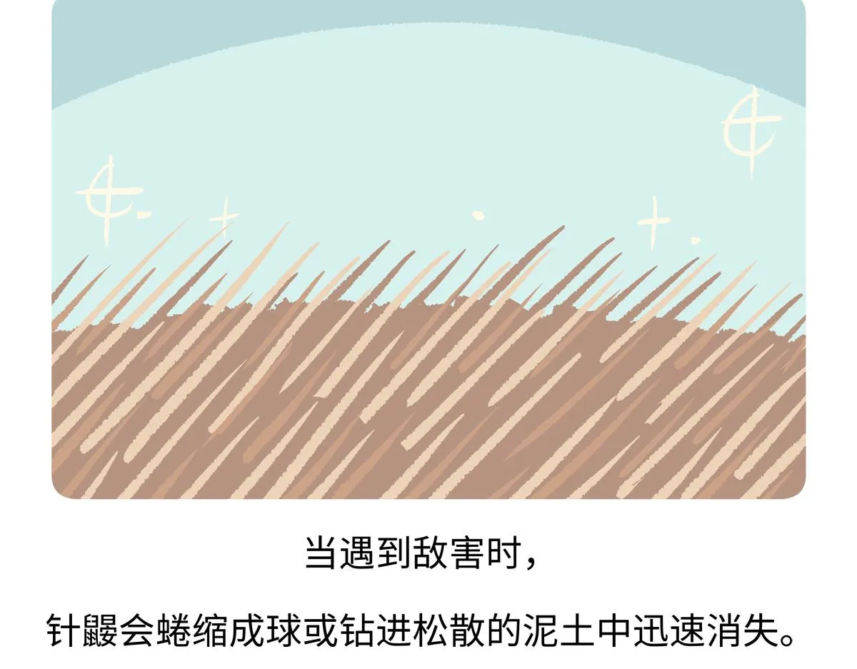 第255话 第27页