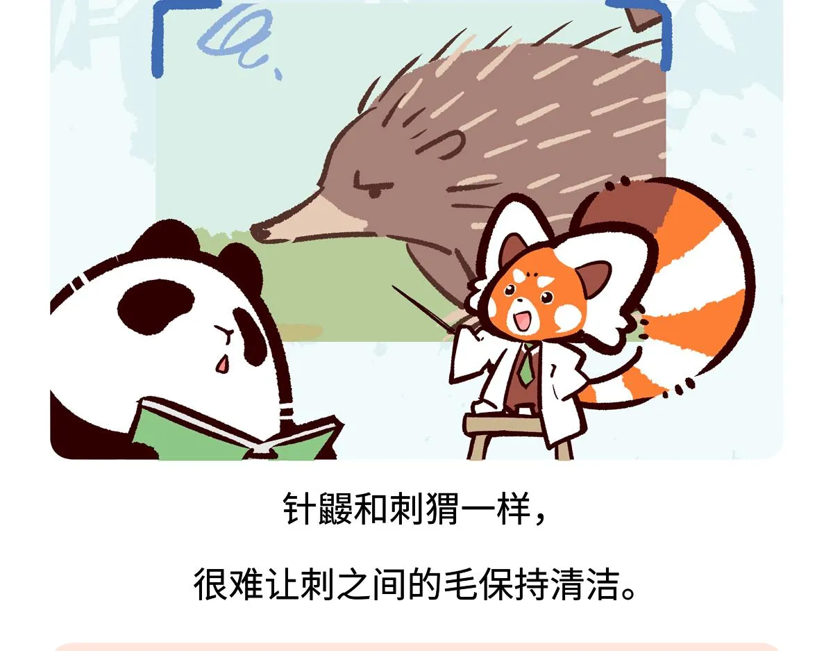 第256话 第20页