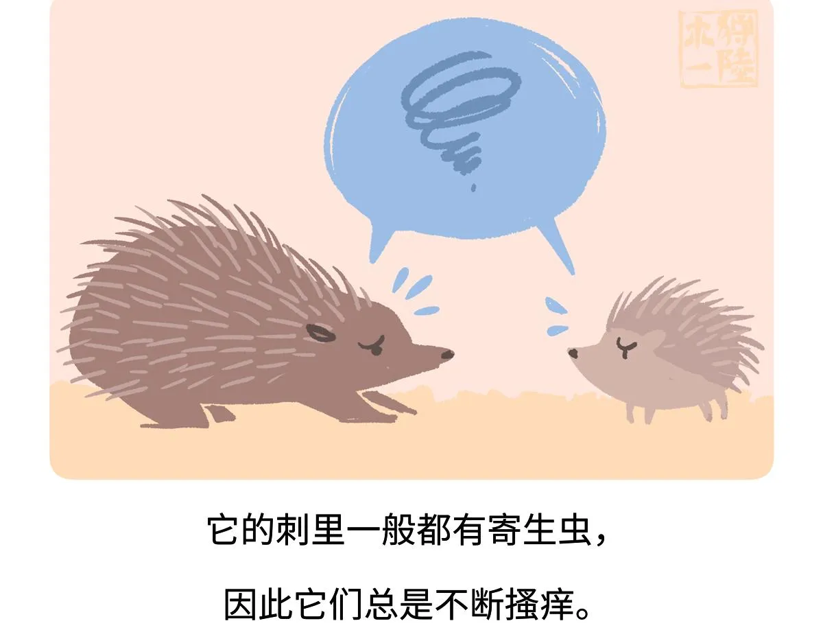 第256话 第21页