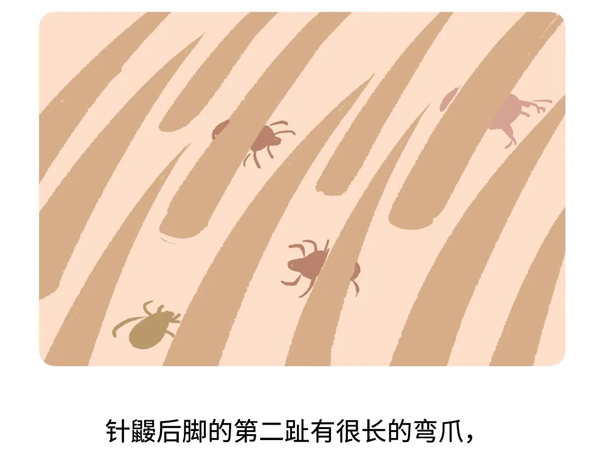 第256话 第23页