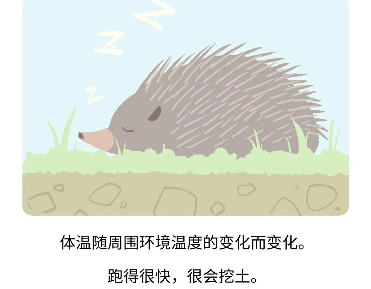 第256话 第28页