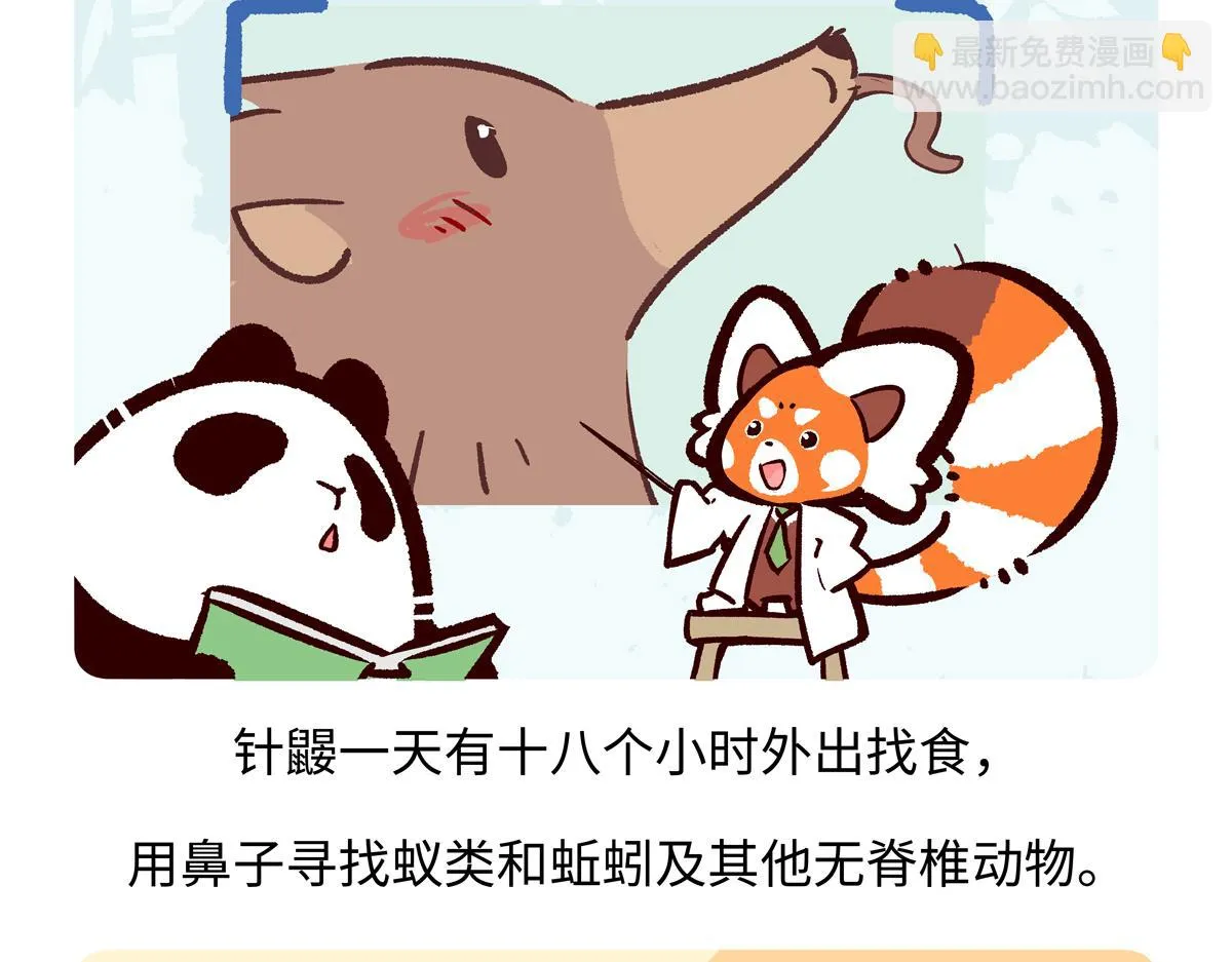 第257话 第20页