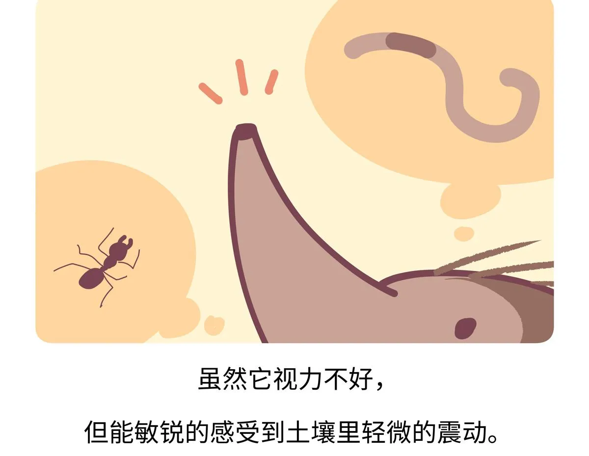 第257话 第21页