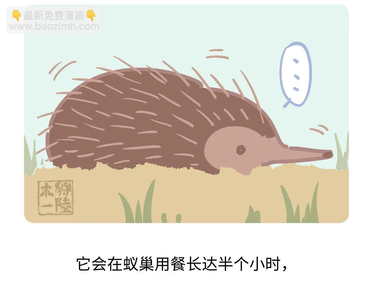 第257话 第22页