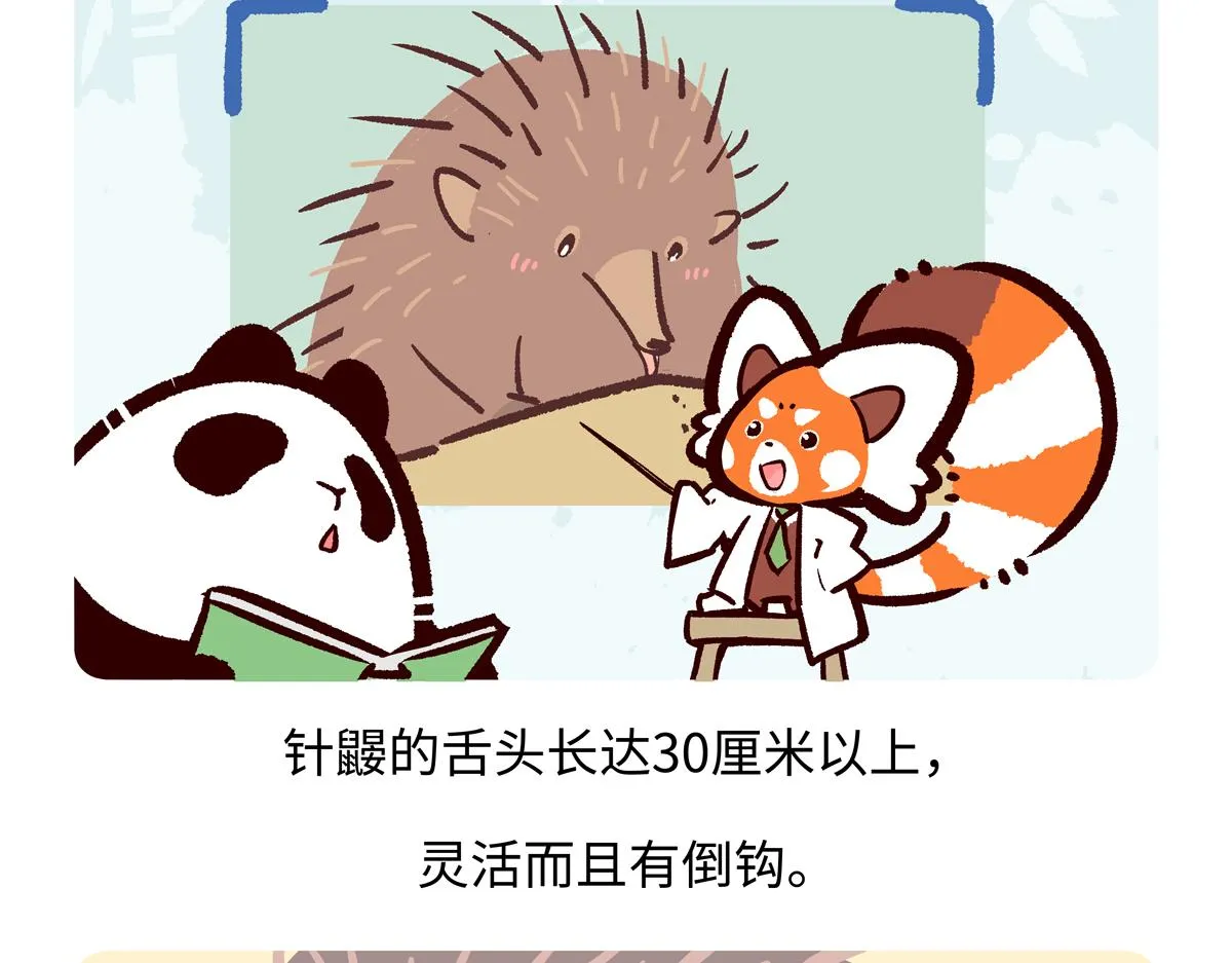 第257话 第26页