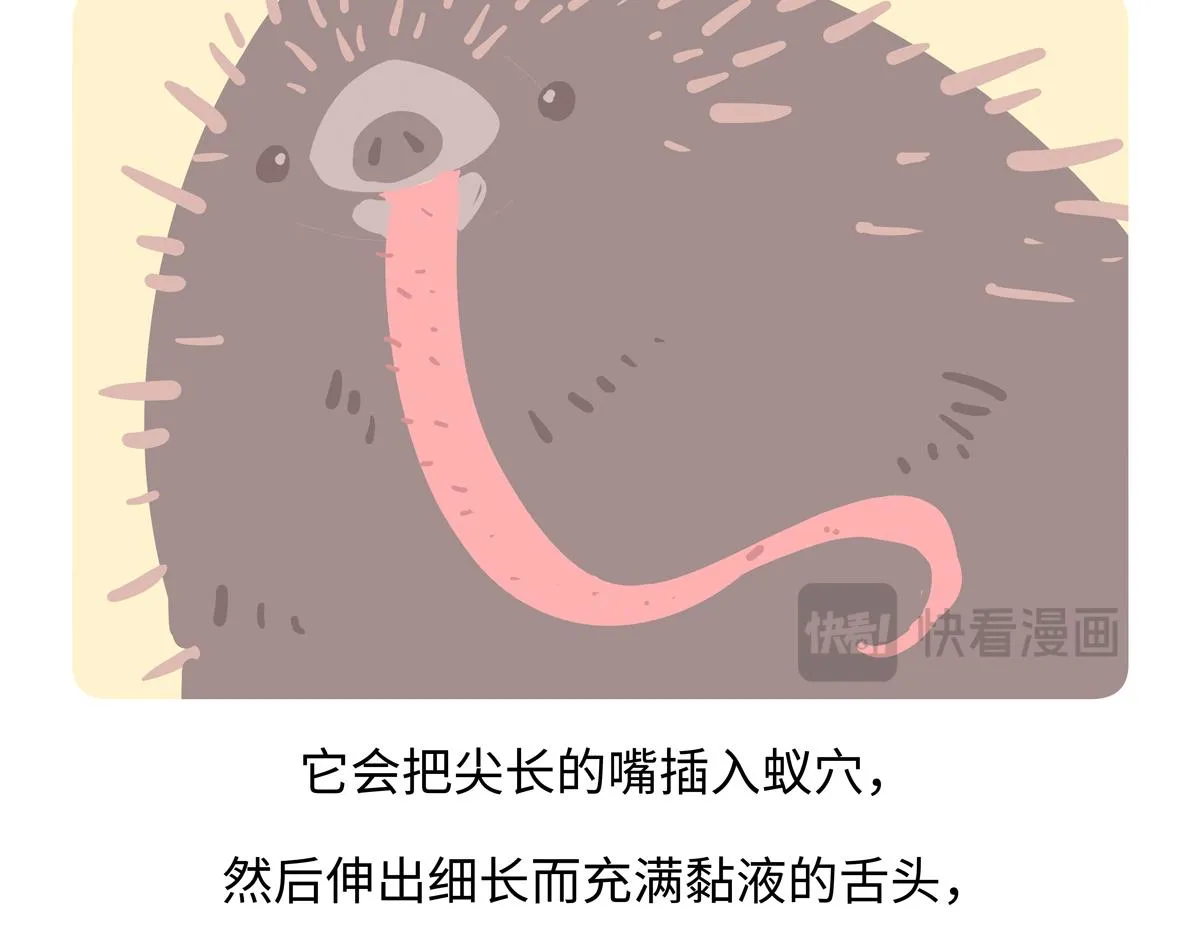 第257话 第27页