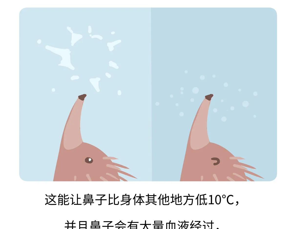 第259话 第24页