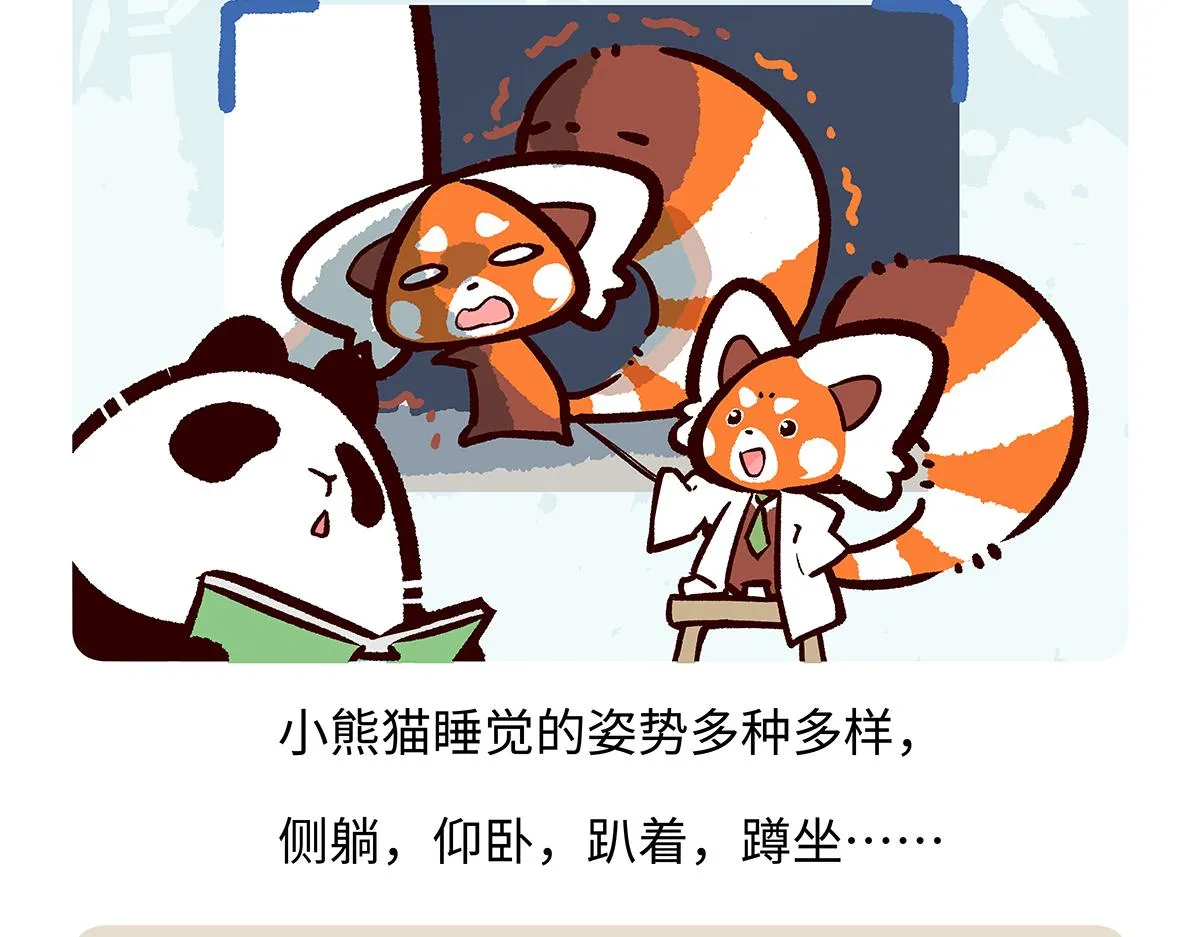 第260话 第20页