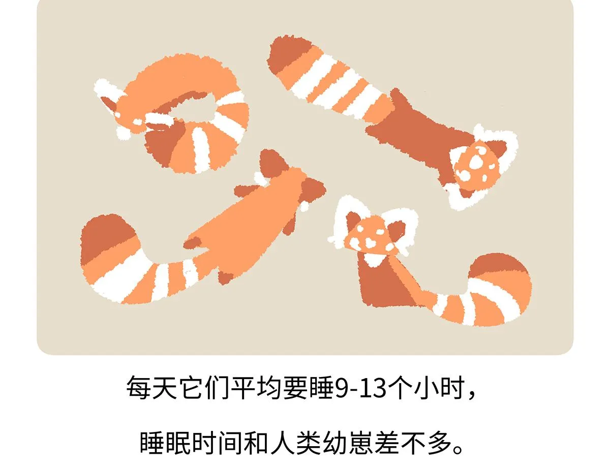 第260话 第21页