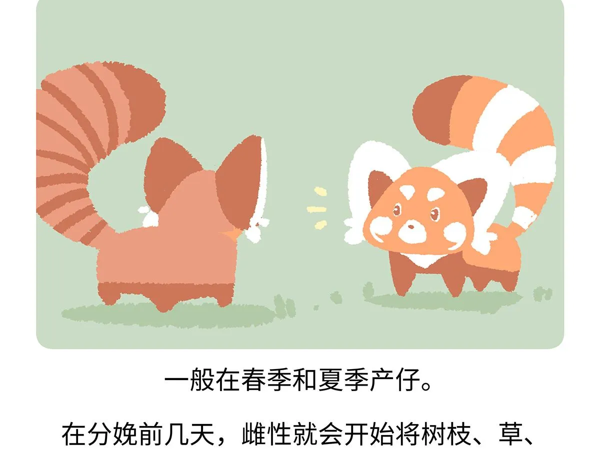 第260话 第27页