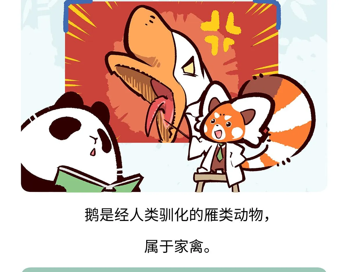 第261话 第14页