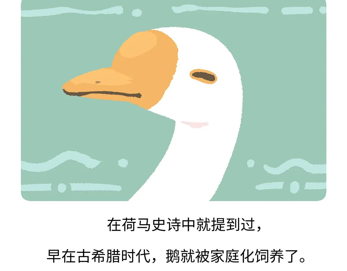 第261话 第15页