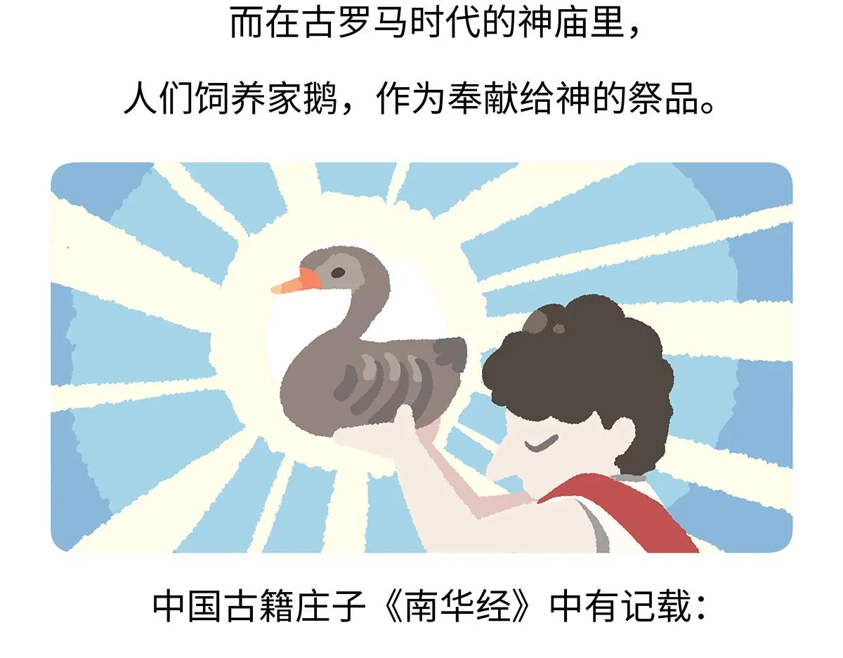 第261话 第17页