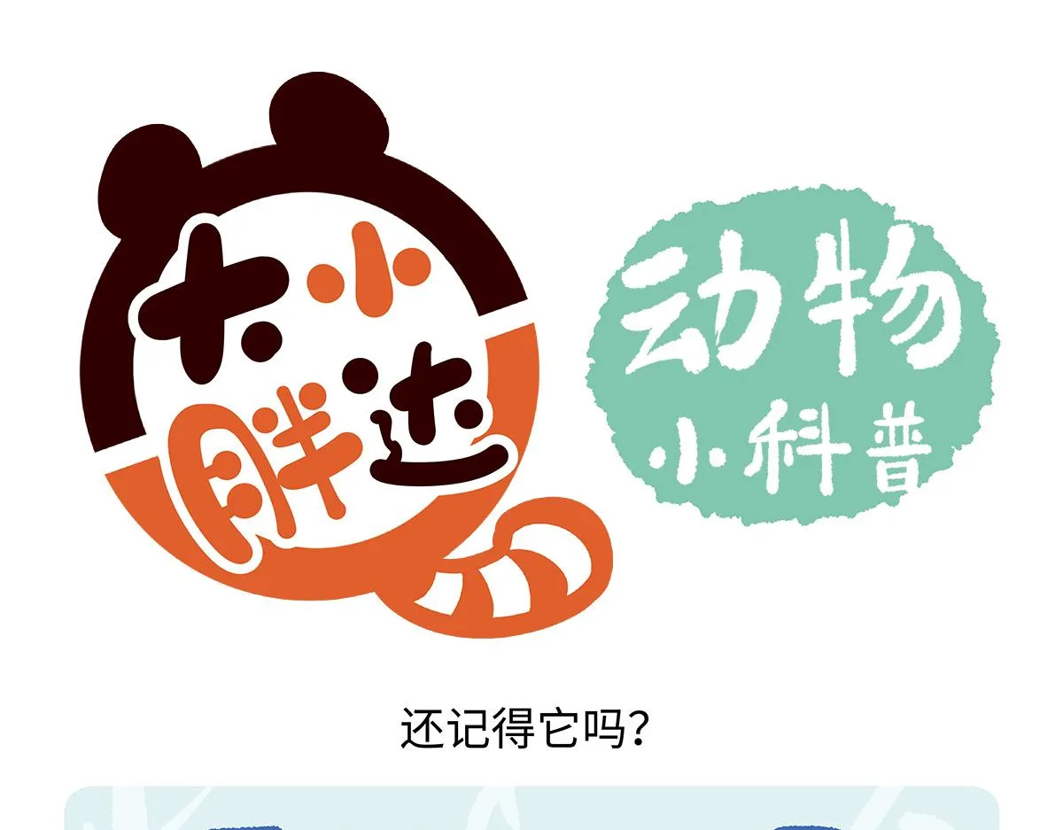 第261话 第20页