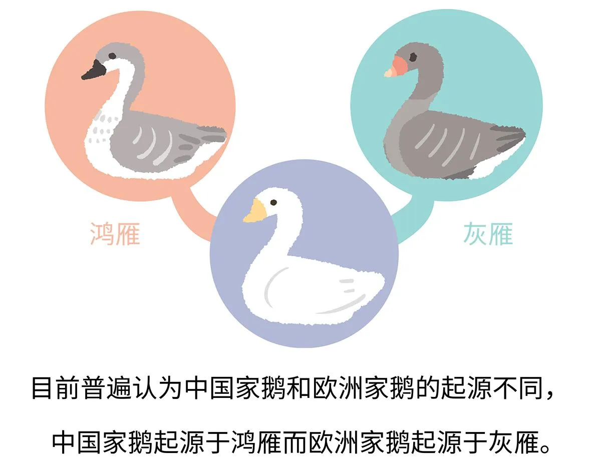 第261话 第22页