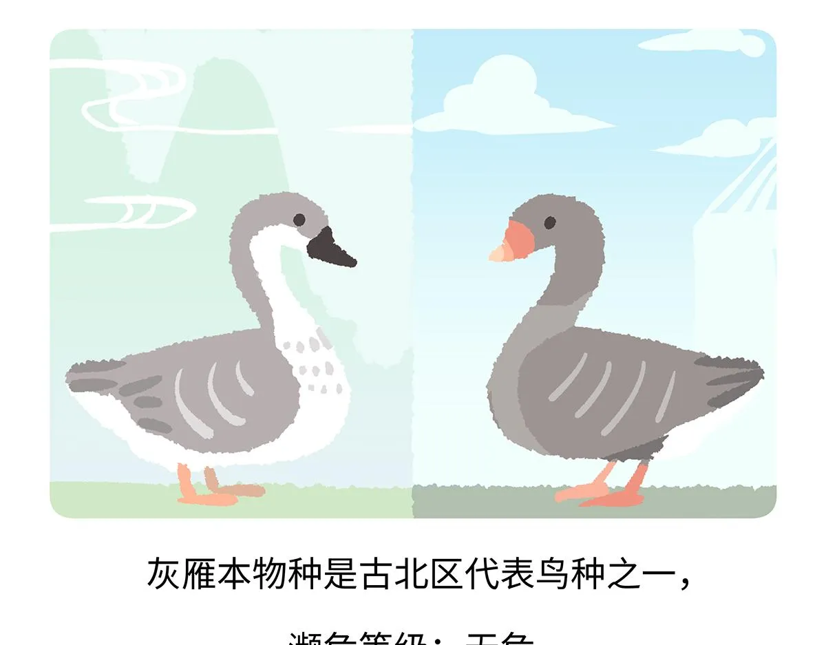 第261话 第23页