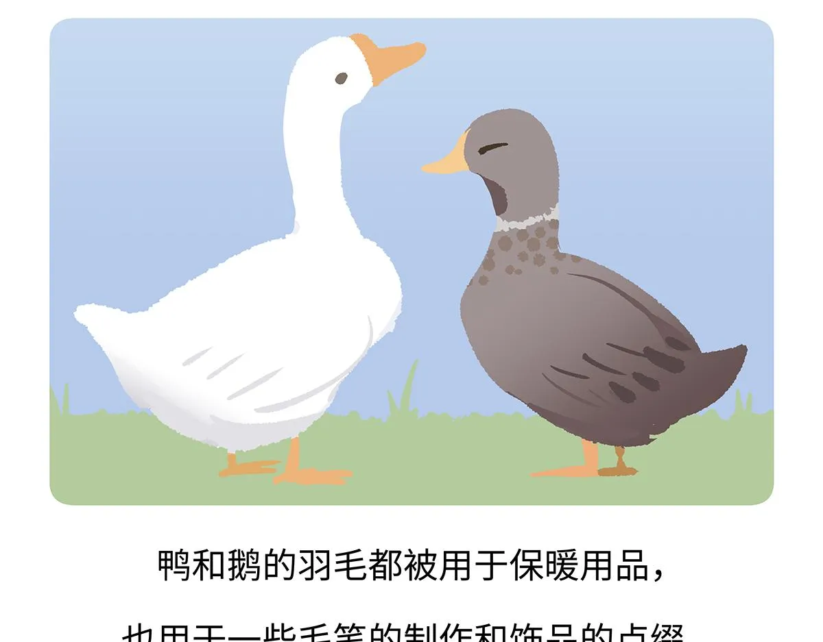 第261话 第29页