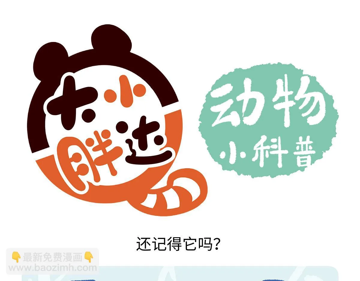 第262话 第18页