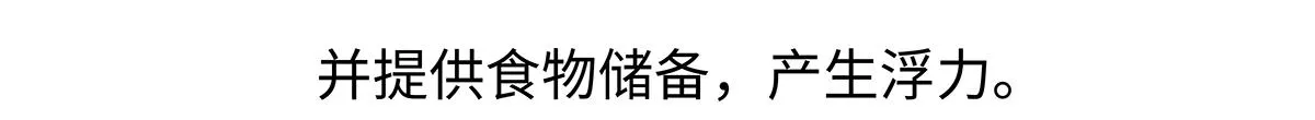 第263话 第16页