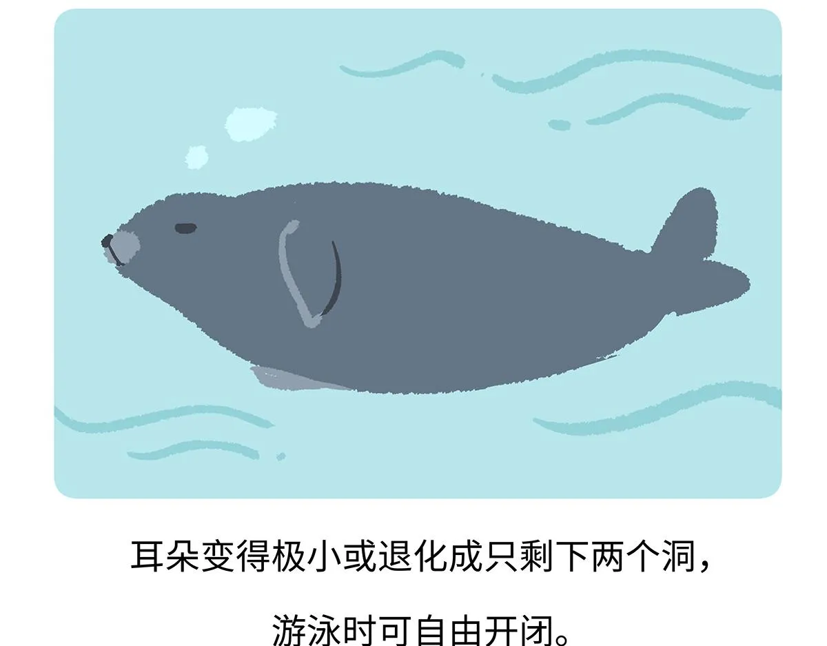 第263话 第17页