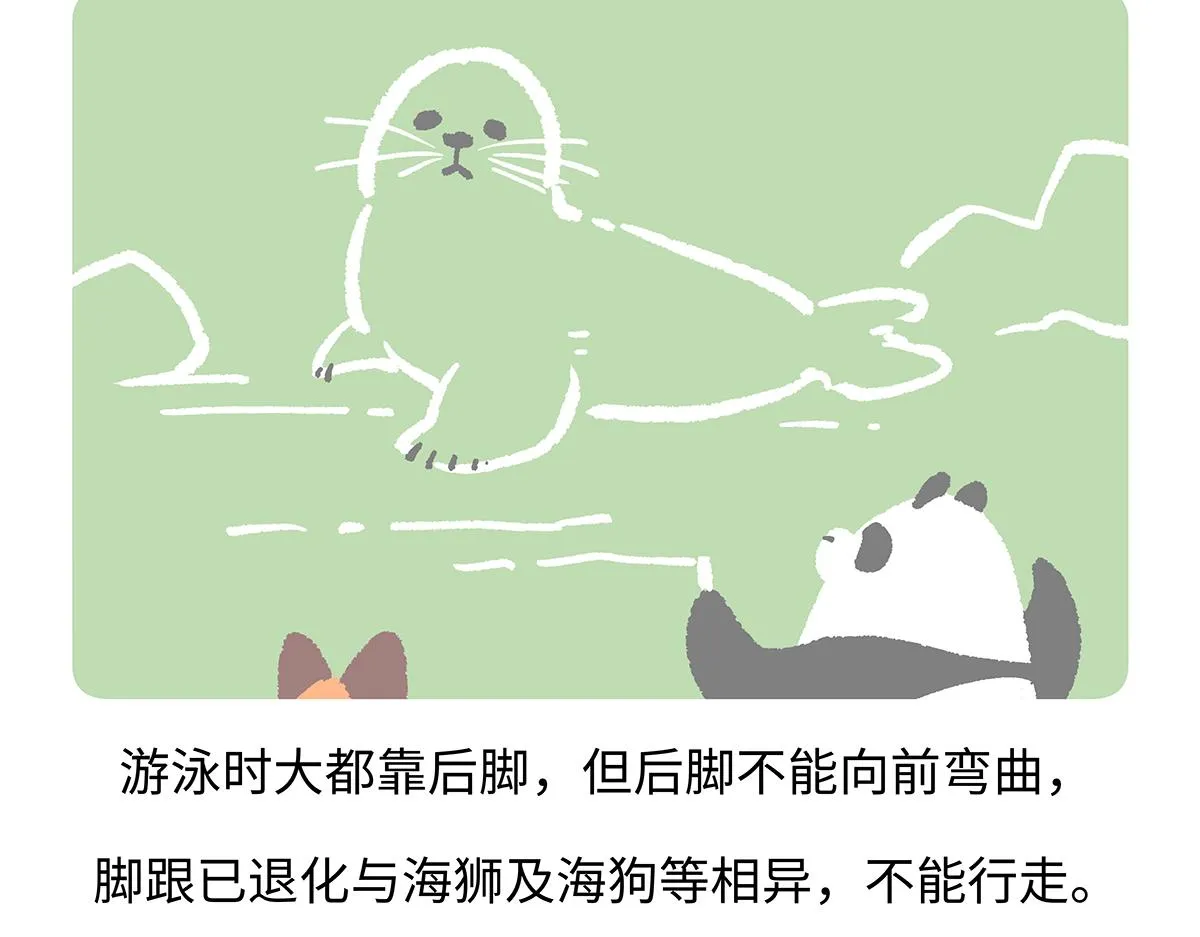 第263话 第22页