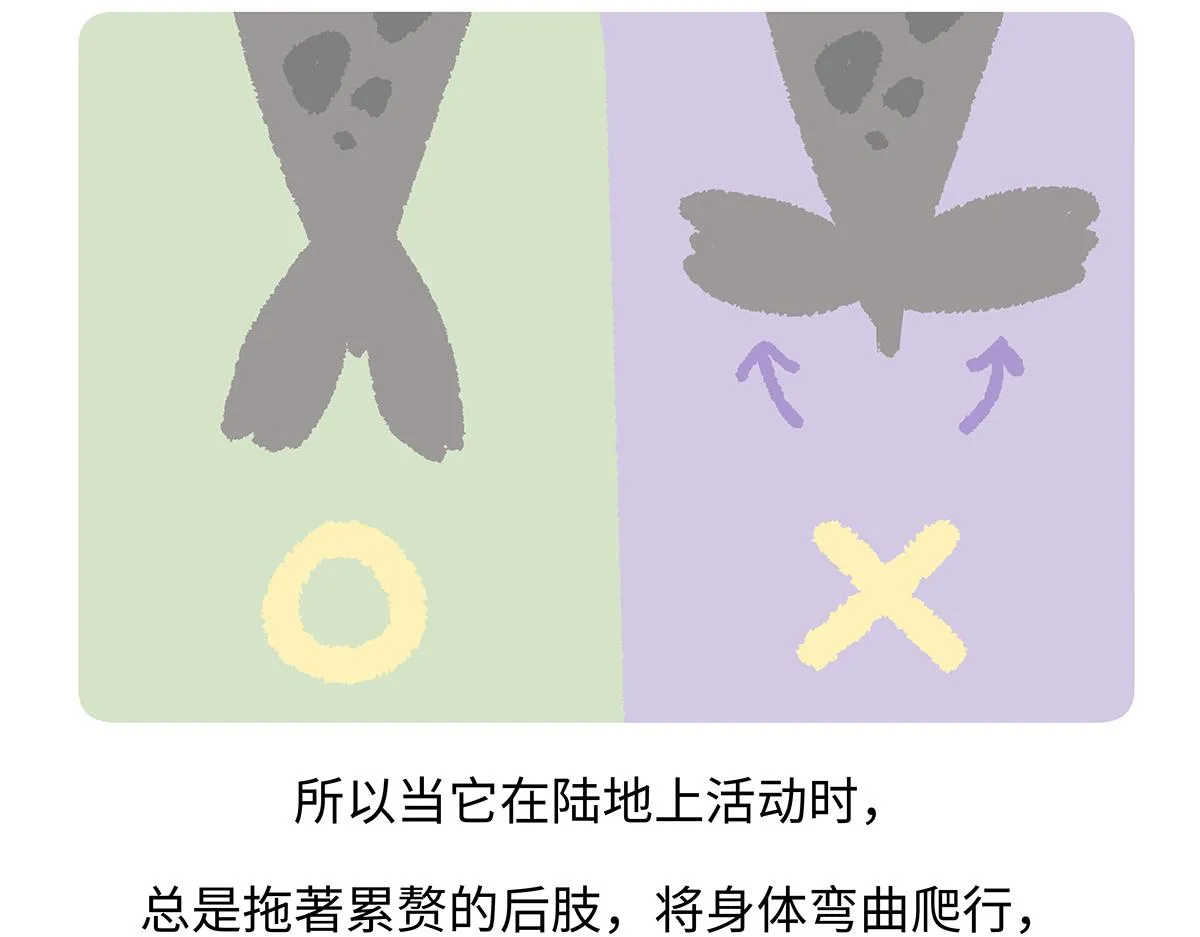 第263话 第24页