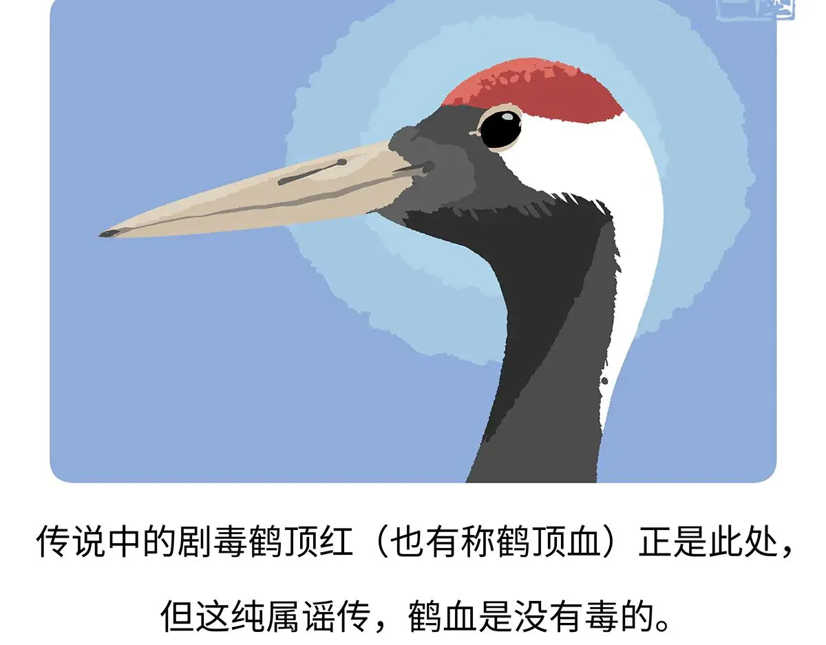 第264话 第15页