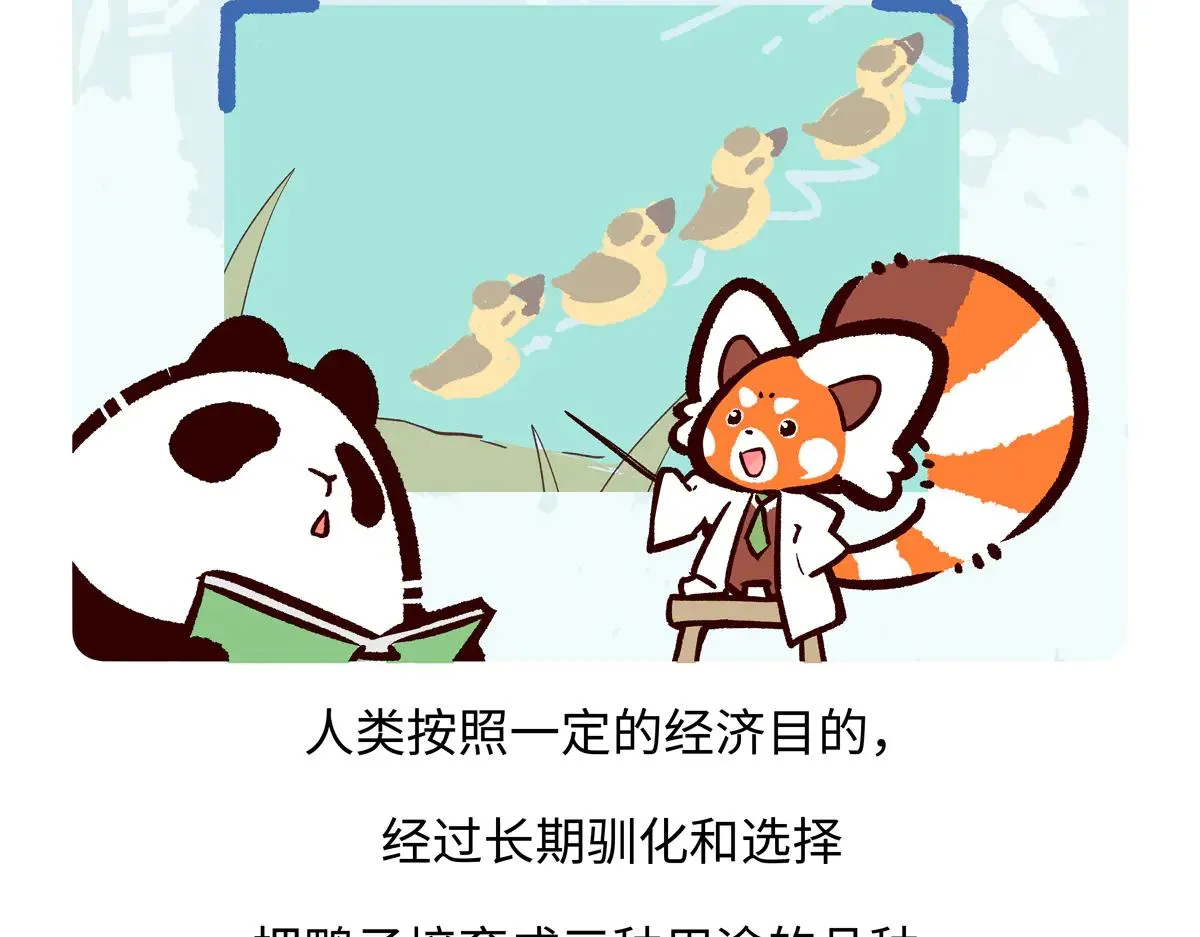 第267话 第28页