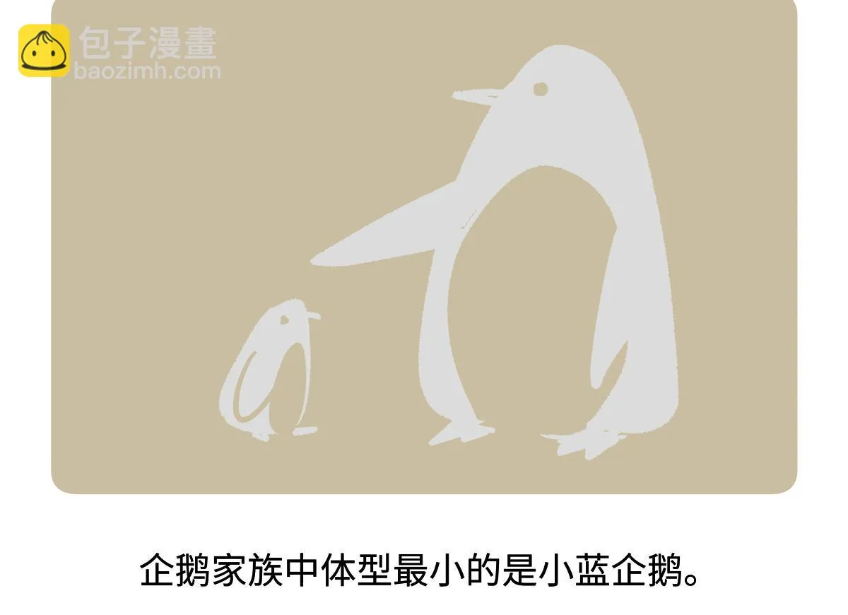 第271话 第21页