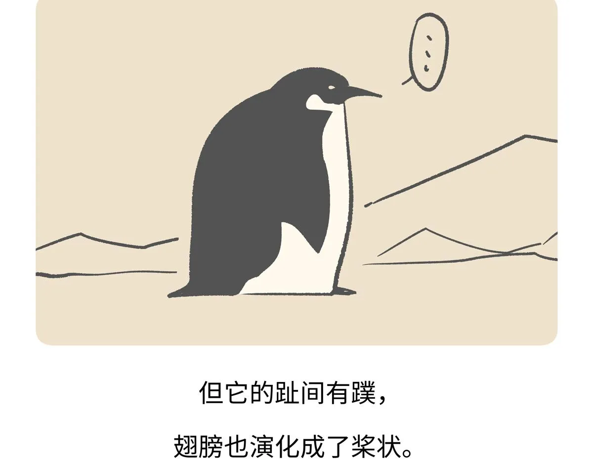 第272话 第21页
