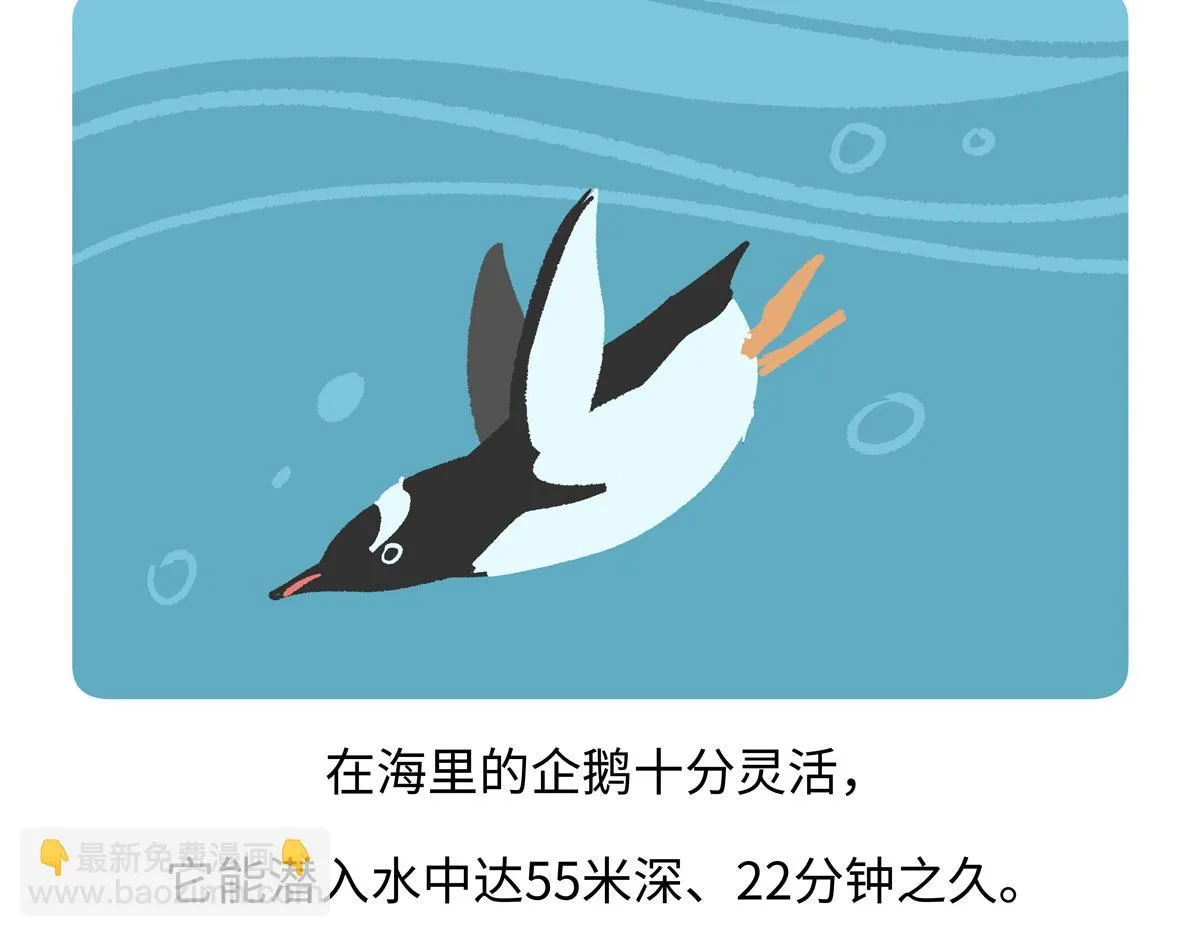 第272话 第28页