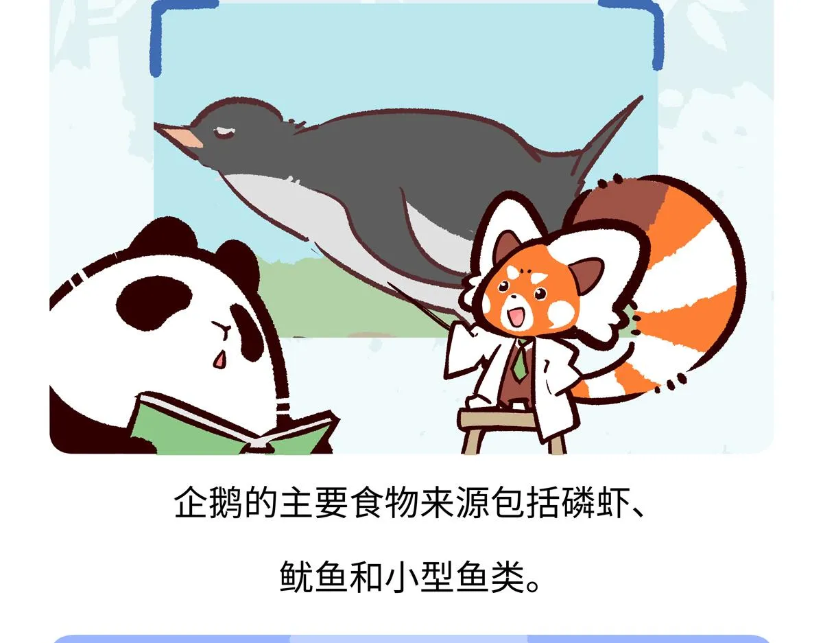 第273话 第20页