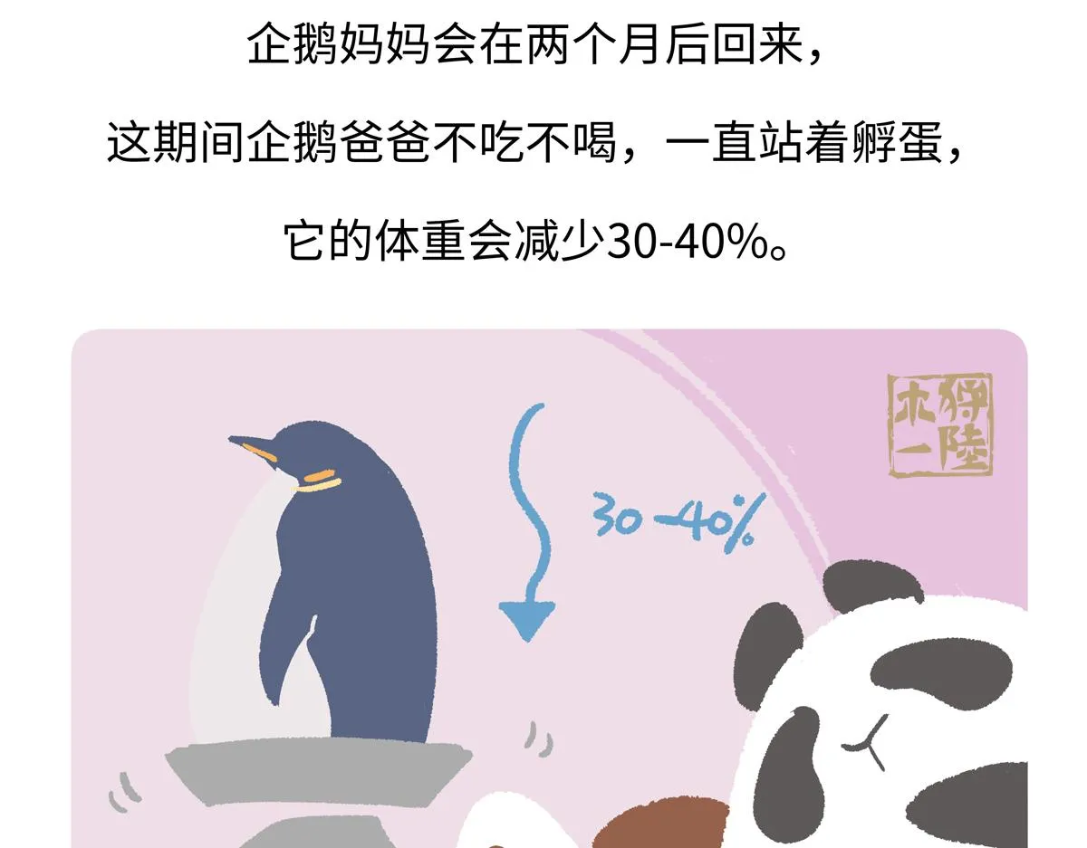 第275话 第28页