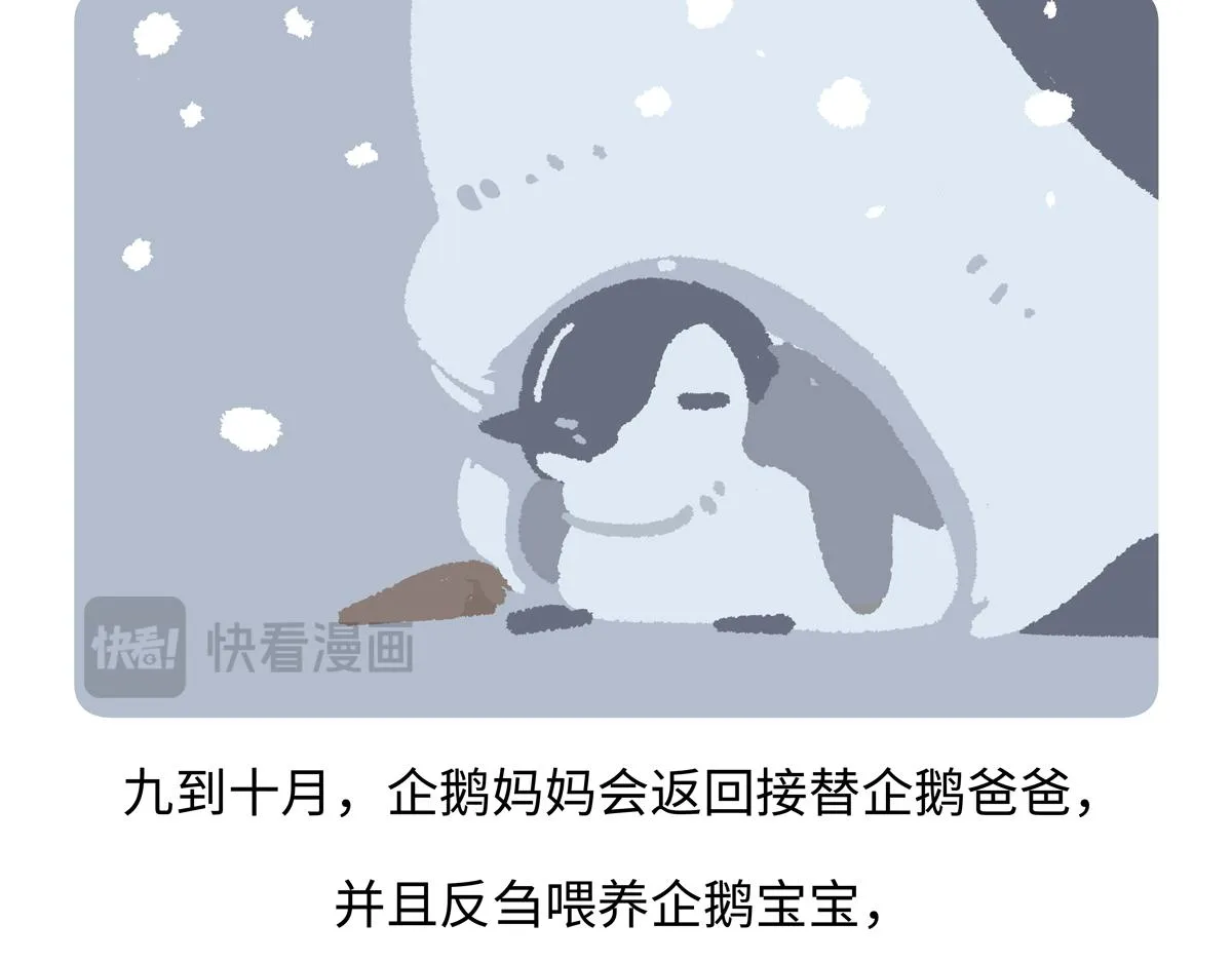 第276话 第20页