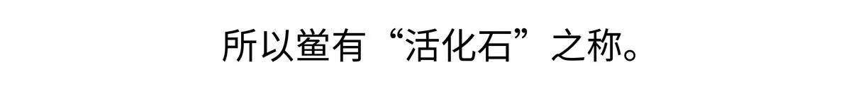 第277话 第24页