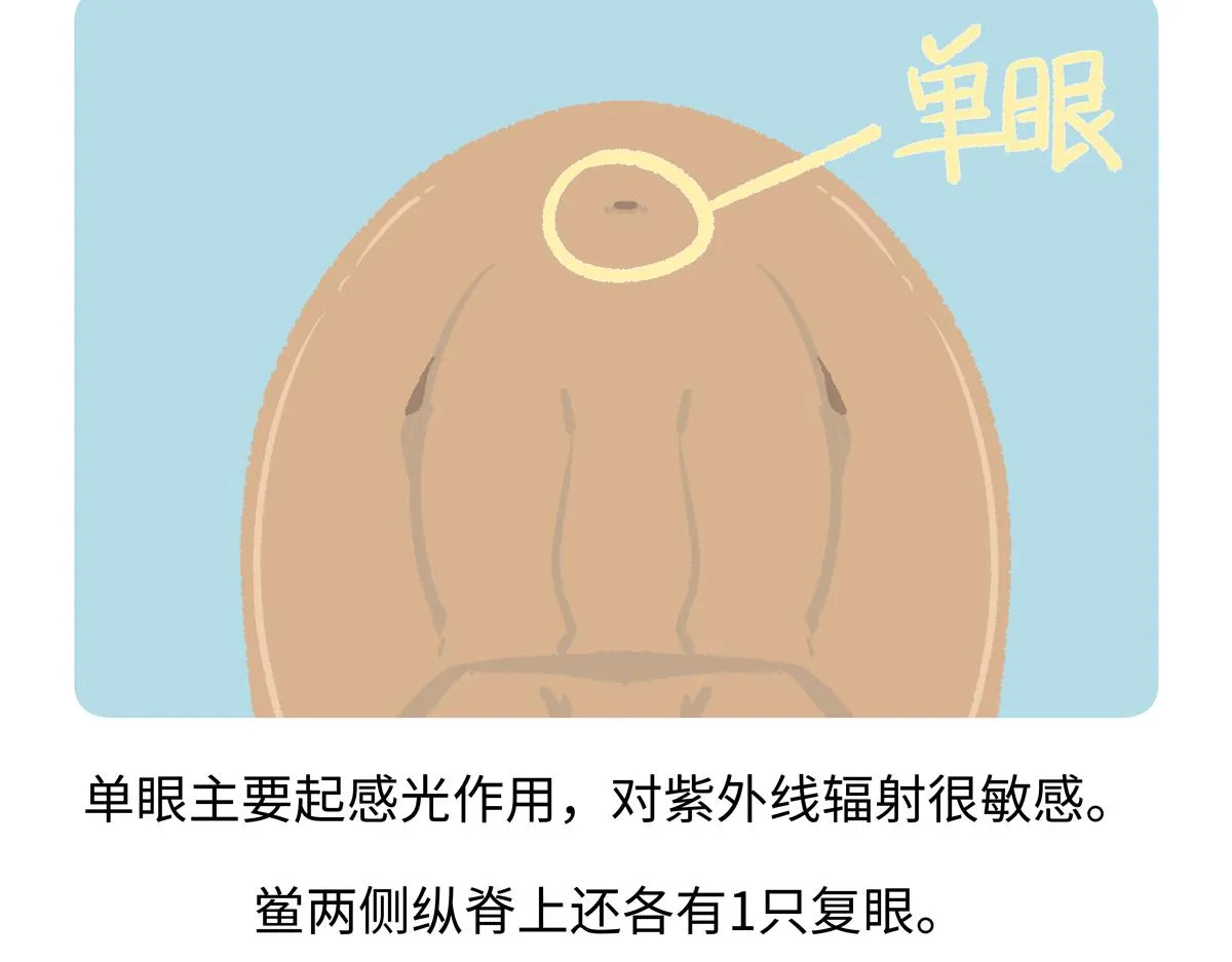 第277话 第27页