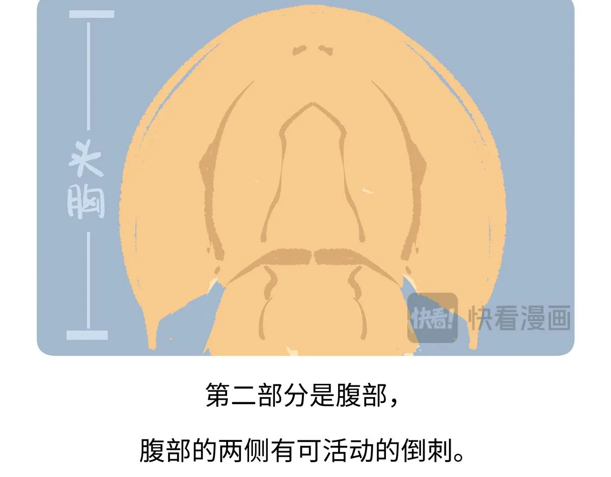第278话 第19页