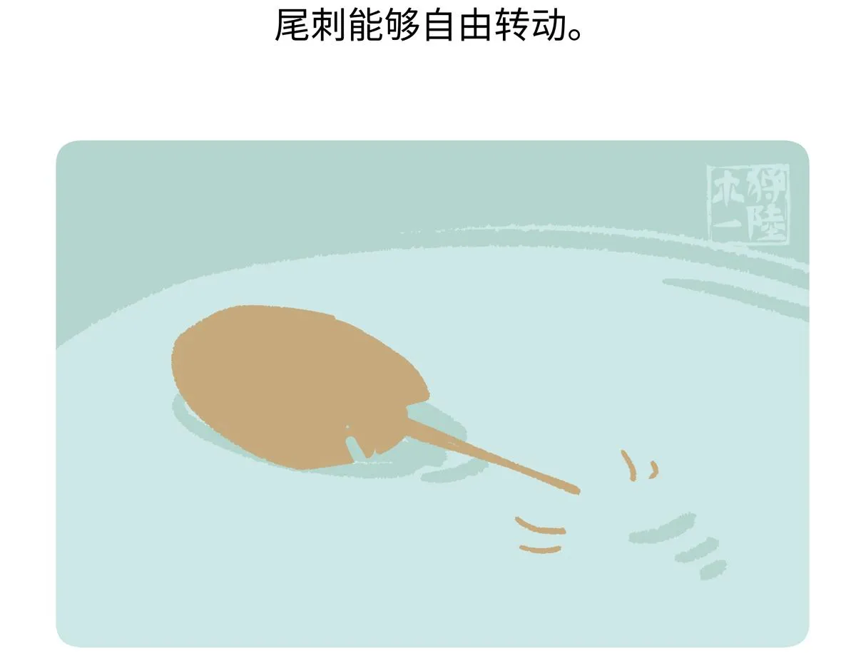 第278话 第22页